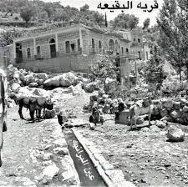 قرية البقيعة / عكا قرية البقيعة / عكا