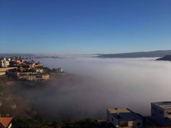 | موسوعة القرى الفلسطينية  | موسوعة القرى الفلسطينية