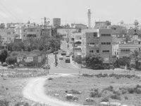 قرية الجديدة قرية الجديدة