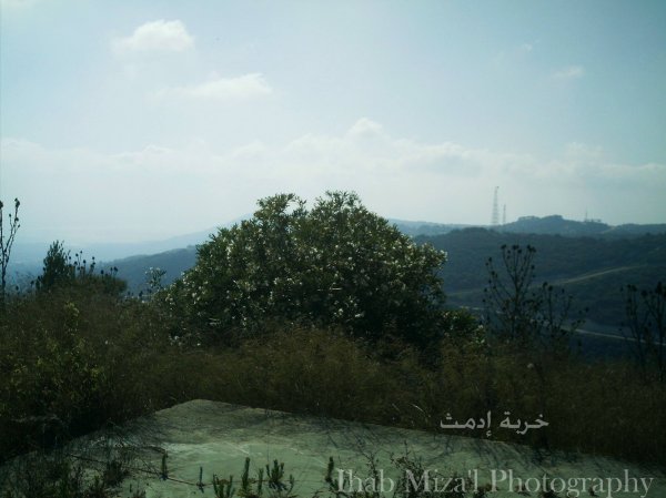  | موسوعة القرى الفلسطينية