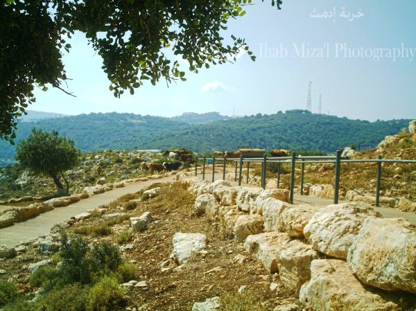  | موسوعة القرى الفلسطينية