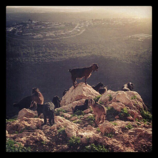  | موسوعة القرى الفلسطينية