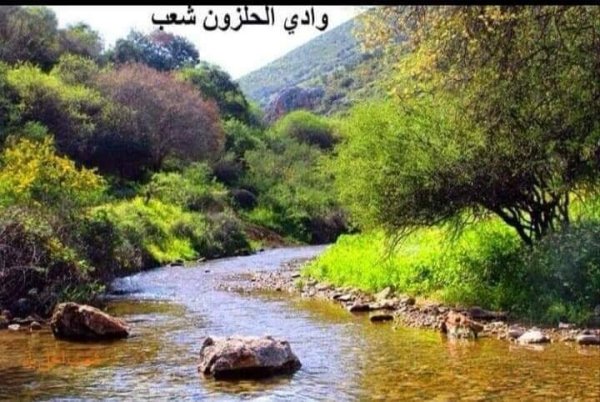 | موسوعة القرى الفلسطينية  | موسوعة القرى الفلسطينية