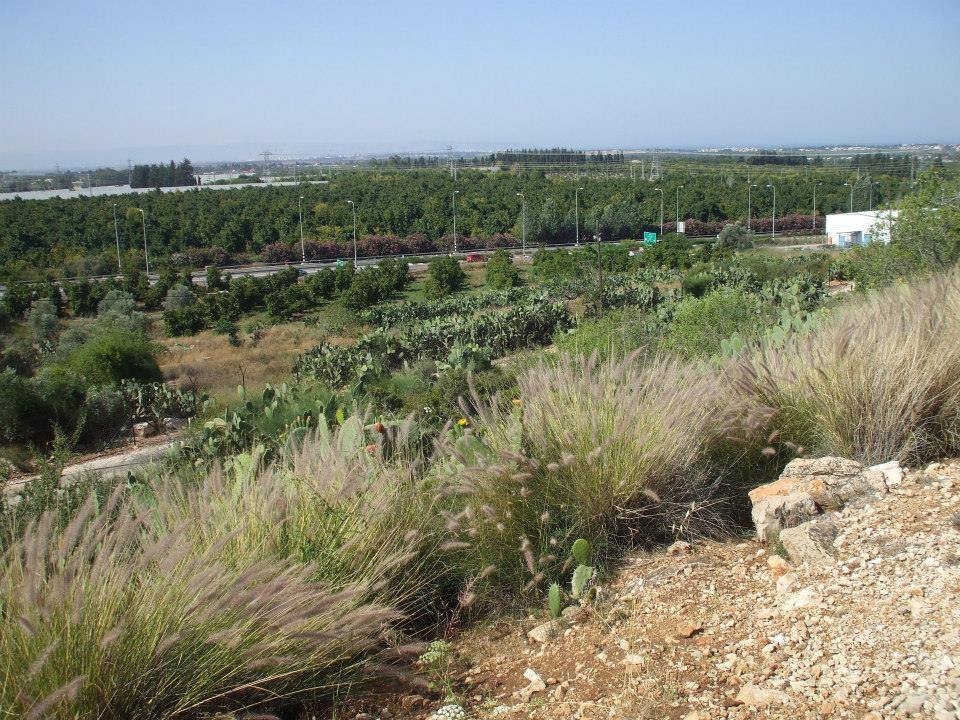| موسوعة القرى الفلسطينية  | موسوعة القرى الفلسطينية