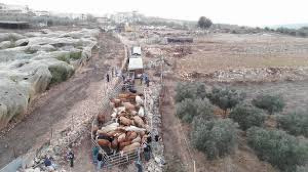 | موسوعة القرى الفلسطينية  | موسوعة القرى الفلسطينية