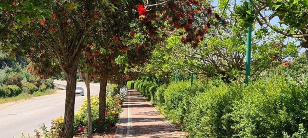 | موسوعة القرى الفلسطينية  | موسوعة القرى الفلسطينية
