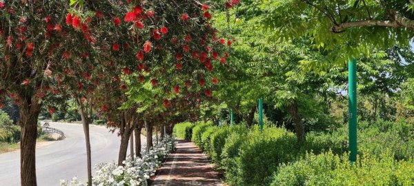 | موسوعة القرى الفلسطينية  | موسوعة القرى الفلسطينية