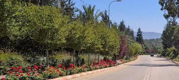 | موسوعة القرى الفلسطينية  | موسوعة القرى الفلسطينية