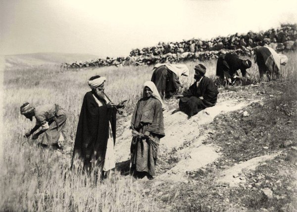 | موسوعة القرى الفلسطينية  | موسوعة القرى الفلسطينية