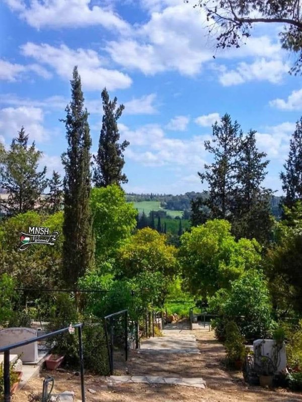 | موسوعة القرى الفلسطينية  | موسوعة القرى الفلسطينية
