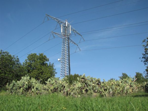 | موسوعة القرى الفلسطينية  | موسوعة القرى الفلسطينية