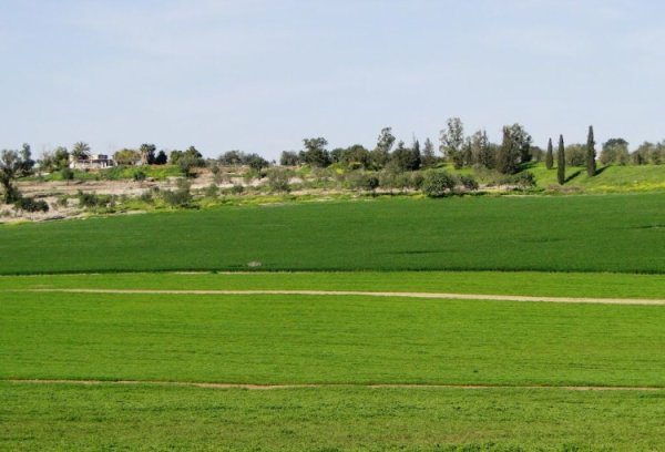 | موسوعة القرى الفلسطينية  | موسوعة القرى الفلسطينية