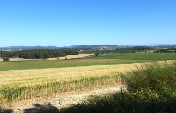 | موسوعة القرى الفلسطينية  | موسوعة القرى الفلسطينية