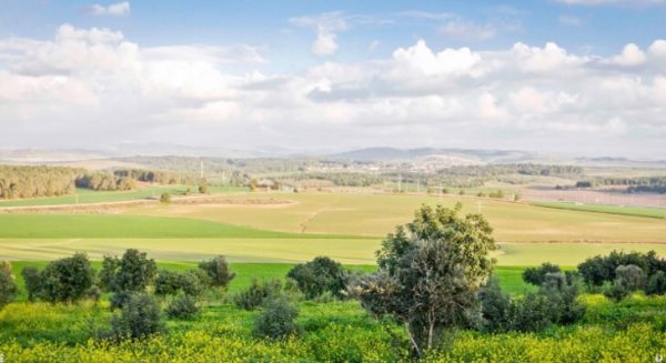 | موسوعة القرى الفلسطينية  | موسوعة القرى الفلسطينية