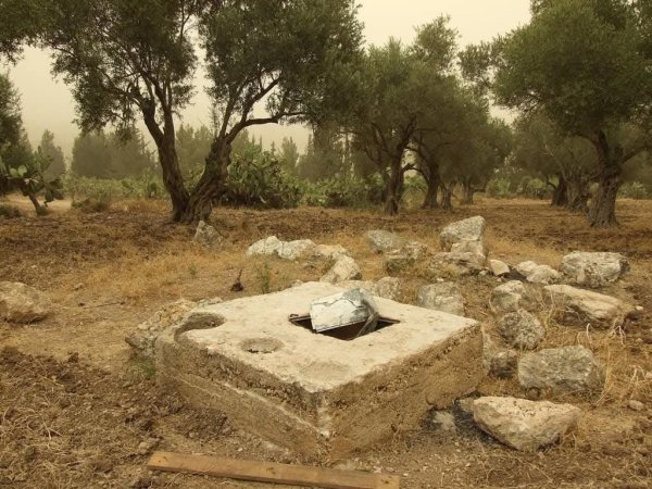 | موسوعة القرى الفلسطينية  | موسوعة القرى الفلسطينية