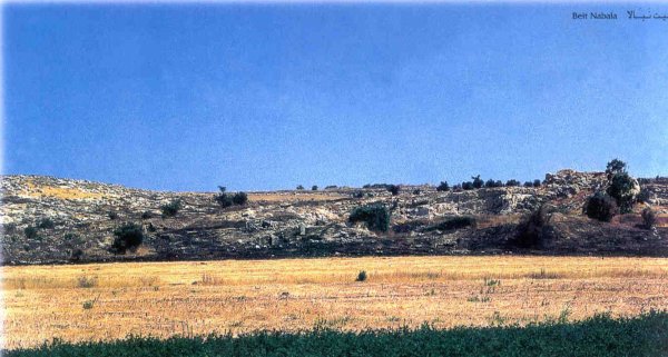 | موسوعة القرى الفلسطينية  | موسوعة القرى الفلسطينية