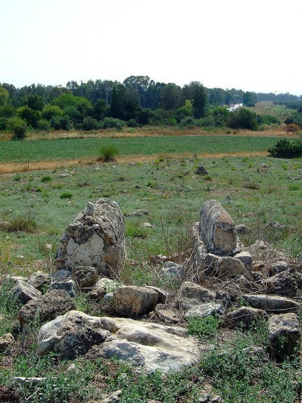 | موسوعة القرى الفلسطينية  | موسوعة القرى الفلسطينية