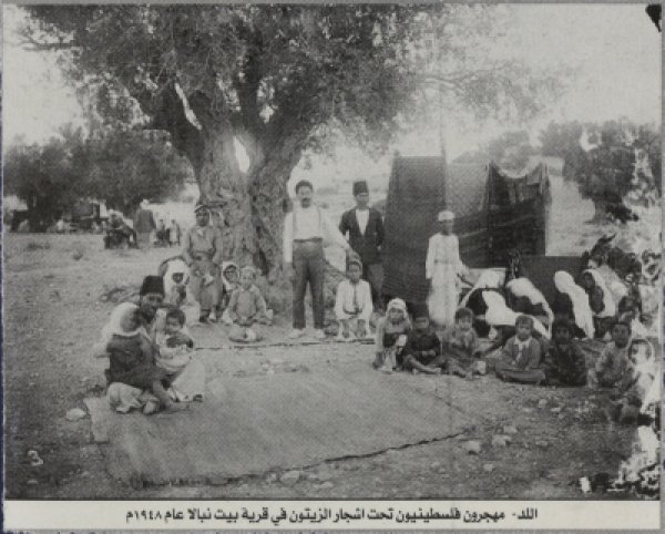 مهجرون فلسطينون تحت اشجار الزيتون في قرية بيت نبالا عام 1948. مهجرون فلسطينون تحت اشجار الزيتون في قرية بيت نبالا عام 1948.