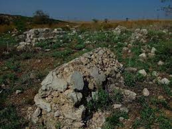 | موسوعة القرى الفلسطينية  | موسوعة القرى الفلسطينية