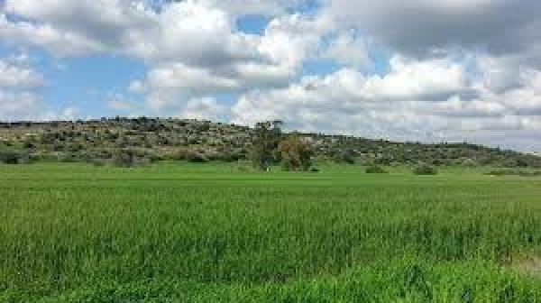 | موسوعة القرى الفلسطينية  | موسوعة القرى الفلسطينية