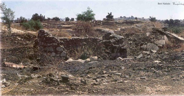 | موسوعة القرى الفلسطينية  | موسوعة القرى الفلسطينية