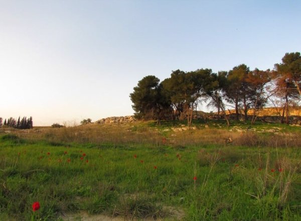 | موسوعة القرى الفلسطينية  | موسوعة القرى الفلسطينية