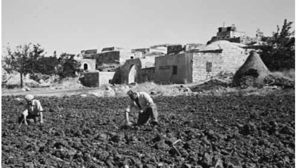 | موسوعة القرى الفلسطينية  | موسوعة القرى الفلسطينية