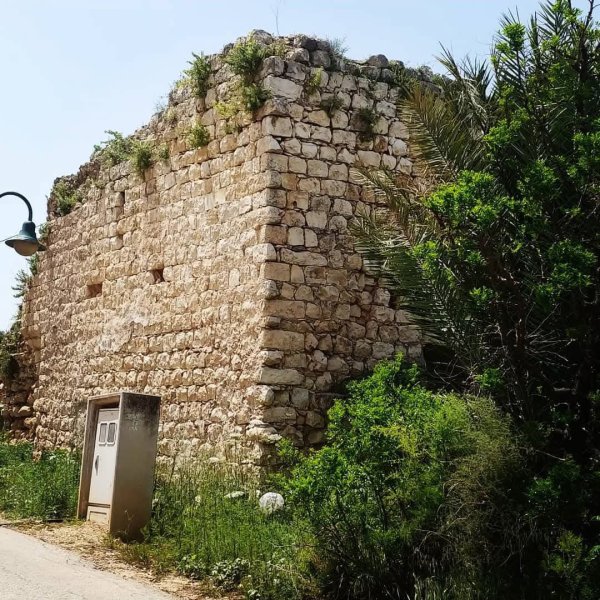 | موسوعة القرى الفلسطينية  | موسوعة القرى الفلسطينية