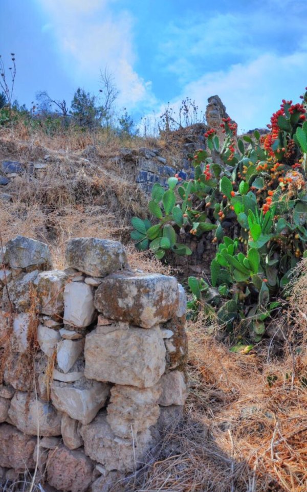  | موسوعة القرى الفلسطينية