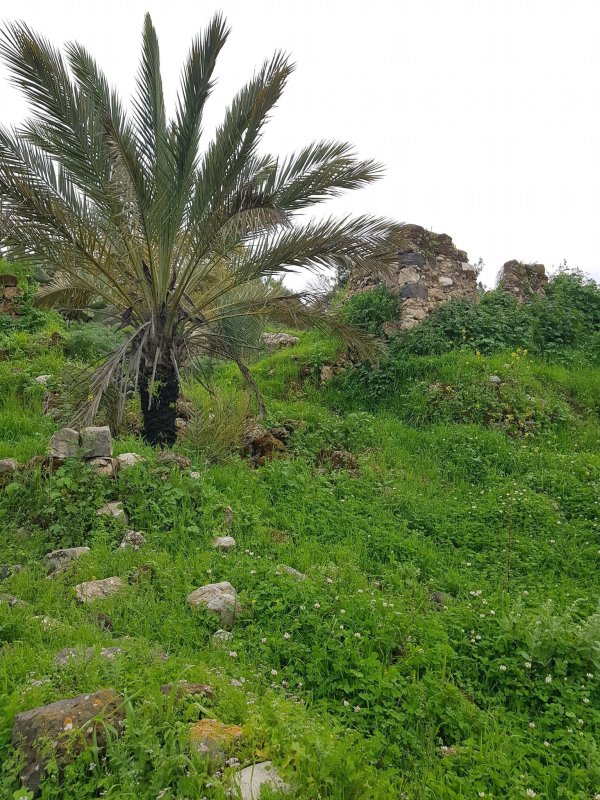  | موسوعة القرى الفلسطينية