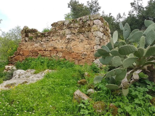  | موسوعة القرى الفلسطينية