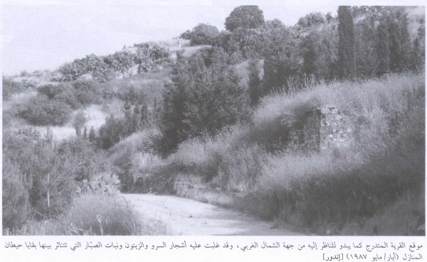 أنقاض القرية أنقاض القرية