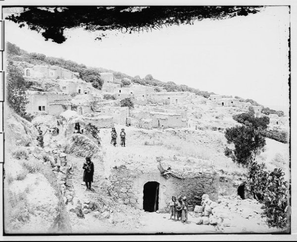 مساكن القرية مساكن القرية