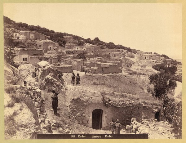 القرية القرية