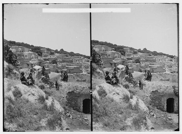 القرية القرية