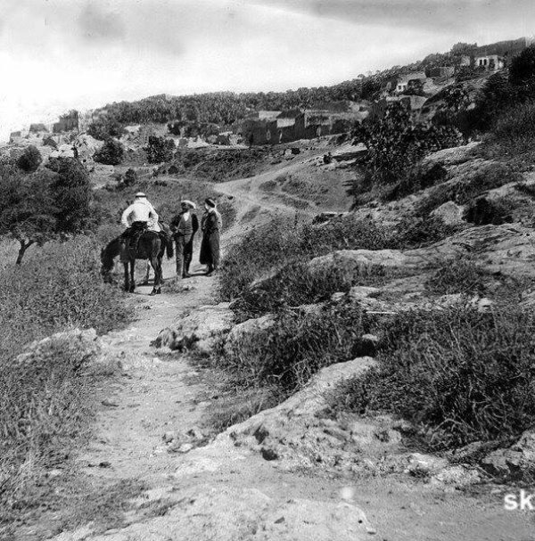 القرية القرية