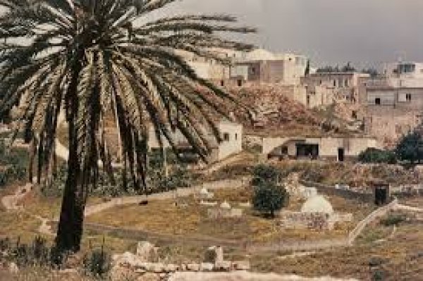 | موسوعة القرى الفلسطينية  | موسوعة القرى الفلسطينية