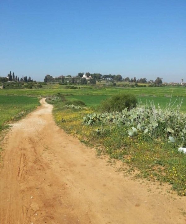 | موسوعة القرى الفلسطينية  | موسوعة القرى الفلسطينية
