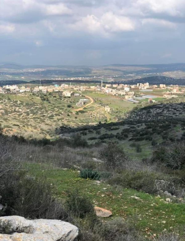 | موسوعة القرى الفلسطينية  | موسوعة القرى الفلسطينية