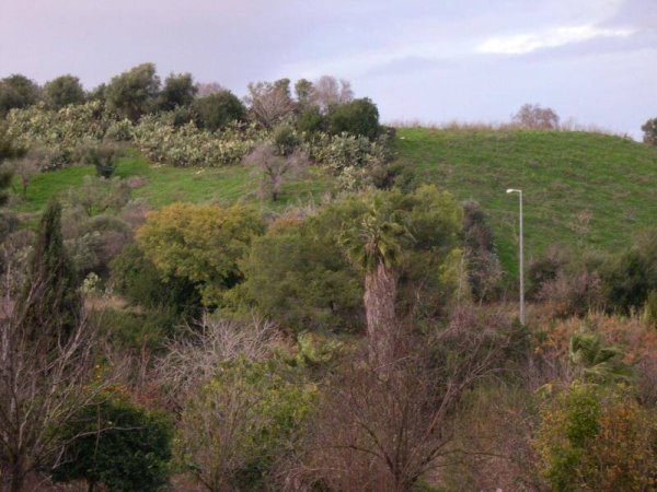 | موسوعة القرى الفلسطينية  | موسوعة القرى الفلسطينية