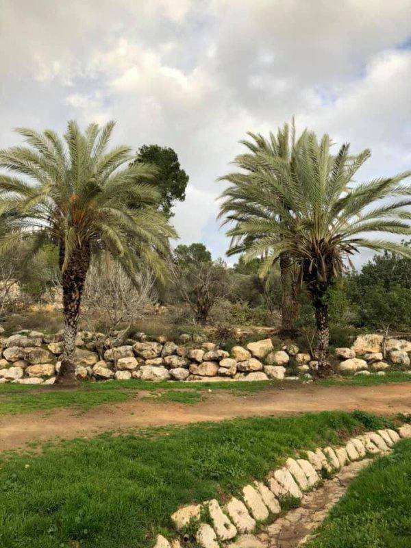 | موسوعة القرى الفلسطينية  | موسوعة القرى الفلسطينية