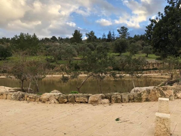 | موسوعة القرى الفلسطينية  | موسوعة القرى الفلسطينية