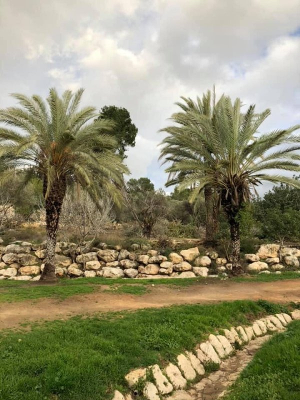 | موسوعة القرى الفلسطينية  | موسوعة القرى الفلسطينية
