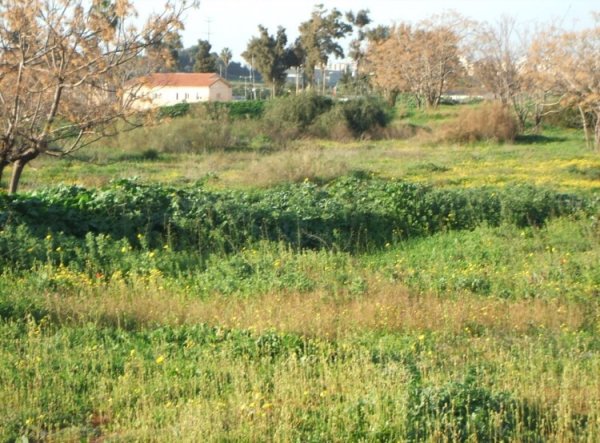  | موسوعة القرى الفلسطينية