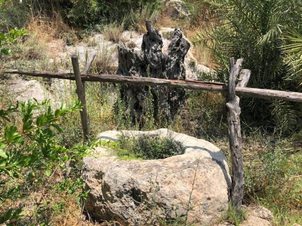  | موسوعة القرى الفلسطينية