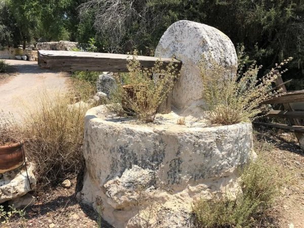  | موسوعة القرى الفلسطينية