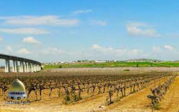 | موسوعة القرى الفلسطينية  | موسوعة القرى الفلسطينية