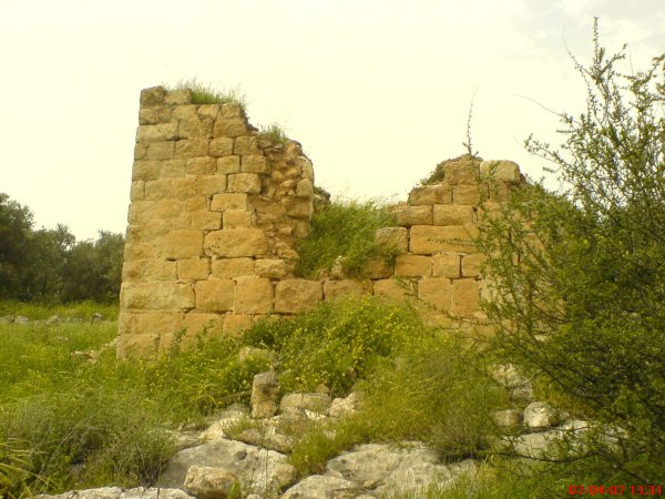 | موسوعة القرى الفلسطينية  | موسوعة القرى الفلسطينية