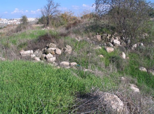 | موسوعة القرى الفلسطينية  | موسوعة القرى الفلسطينية