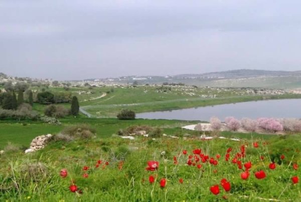 | موسوعة القرى الفلسطينية  | موسوعة القرى الفلسطينية